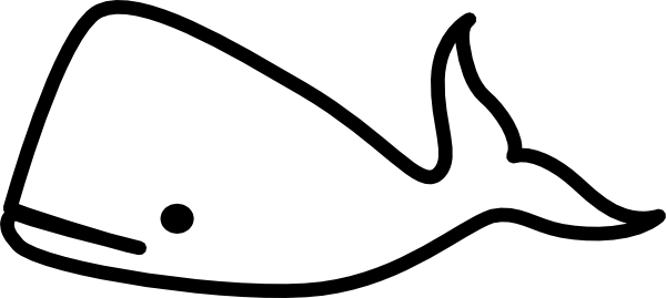 cetaceo.us